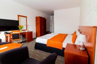 Parkhotel Plzen Congress Center - Pilsen - 3
