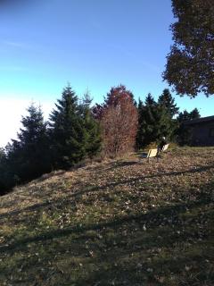 Wohnungen- Christopherhof MJ,Grafenwiesen - Grafenwiesen - 2