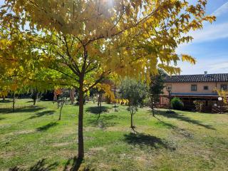 SassoMatto b&b BioAgrituRelax - Campogialli - 1