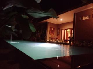 Ona private Villas - Ubud - 4