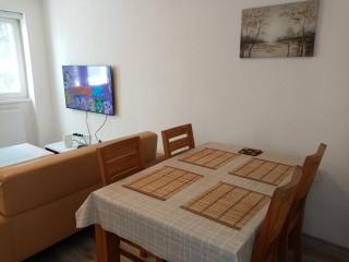 Apartment Azra - Sarajevo, Ilidza - Sarajevo - 8