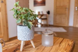 Ferienwohnungen Seraphine und Theresia - 8