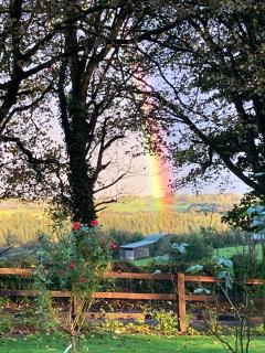 The Cottage - 1