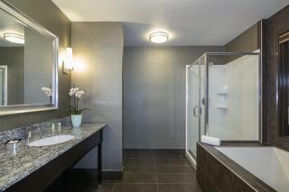 Holiday Inn Hotel & Suites Silicon Valley – Milpitas by IHG - Milpitas - 3