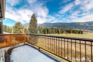Glacier & Ducks Unlimited - Big Sky - 9