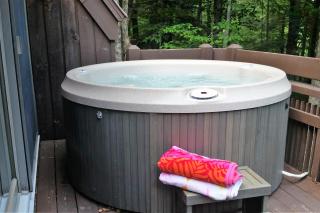 375 Hawk Spur - Plymouth - 9