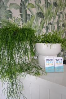 South Seas Motel - 6