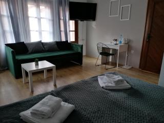 MON Accommodation free parking - Niš - 4