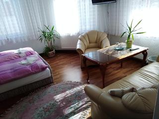 Pension Reichel - Freiberg - 3