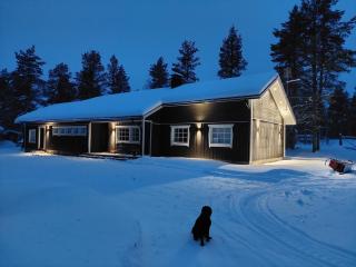 Maglelin Experience Lodge - Kittilä - 7