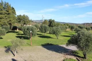 Palace Hotel & Spa Termas de São Tiago - 1