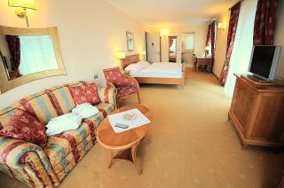 Hotel Aster - 9