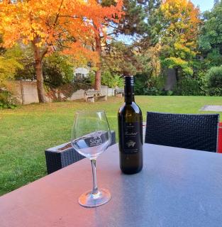 Appartement avec terrasse - Sion - 4