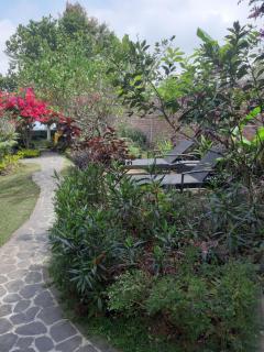 Terrasse du Lac Munduk - Munduk - 1