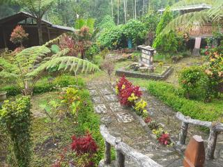 Ijen Miner Family Homestay - Banyuwangi - 6
