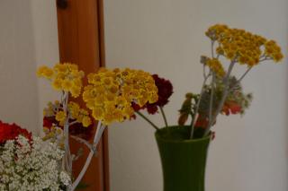 Galaxy Hotel - Gavrio - 1