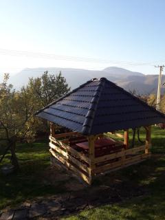 Seoska kuća Rakić - Tara - Rastište - 0