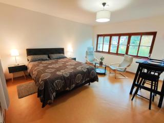 Lumineux Appartement Free Parking Nature Ville tt équipé - Thann - 5