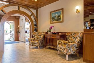 Hotel Fortuna - Kirchzarten - 2