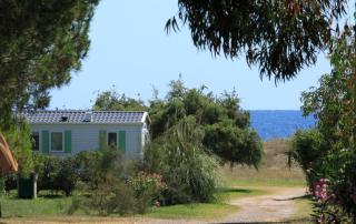 Camping Miami plage - Poggio-Mezzana - 3
