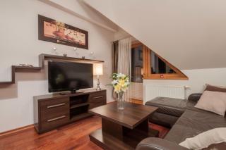 ApartSerwis - Gorące Źródła Apartament Szałasówka - Zakopane - 9