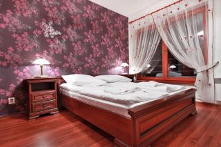 ApartSerwis - Apartament Borowy - Zakopane - 7
