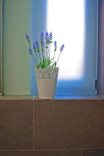 Guest House Villa Dagmar - Crikvenica - 9