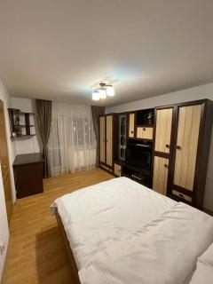 Urban Chic Apartment - Orăştie - 2