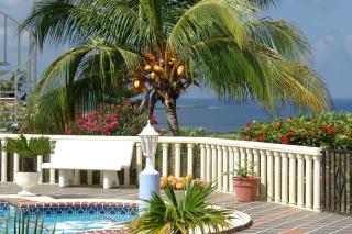 La Pura Vista Resort - Kralendijk - 5
