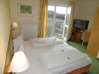 Berggasthof Hotel Igelwirt - Schnaittach - 9