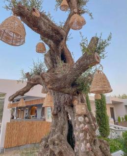 Venus Resort - Tsilivi - 7