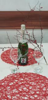 Apartman PIKOLO Zlatibor - Zlatibor - 0