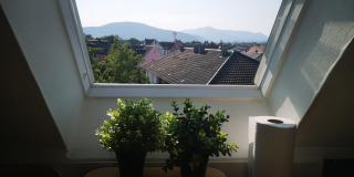Cocon sous les toits - vue sur les châteaux et le vignoble - proche centre ville - parking gratuit - Sélestat - 6