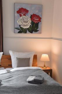Hotel Rosenhof Braunlage - Braunlage - 3