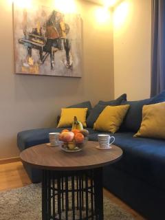 Apartman Onore 2 - Zlatibor - 7
