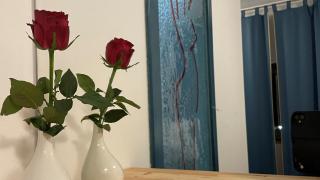 MADONCA ROOMS & RESTAURANT - Nova Gorica - 4