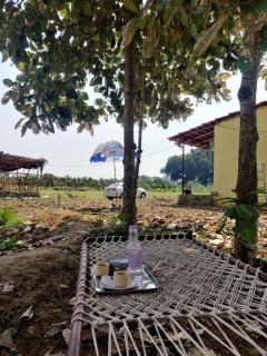ShivaRewa Village stay - Maheshwar - 3