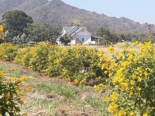 Baan Klang Khao Mountain Viewบ้านกลางเขา เมาเทนวิว - 3