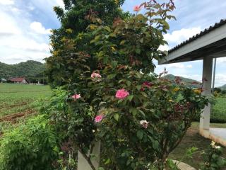 Baan Klang Khao Mountain Viewบ้านกลางเขา เมาเทนวิว - 2