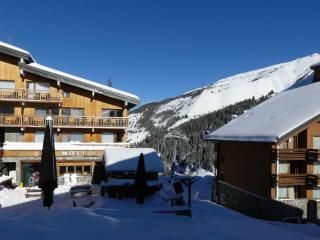 Studio fonctionnel, divisible, skis aux pieds, balcon, animaux acceptés - Les Allues - FR-1-182-120 - Méribel - 3