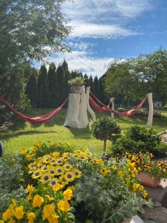 Lemon home - Dziemiany - 1