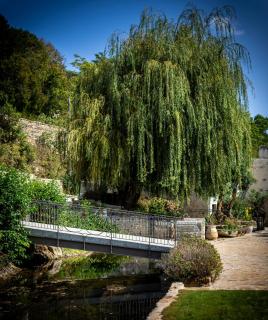 chambre d'hôtes le moulin d'âne niort - Niort - 7