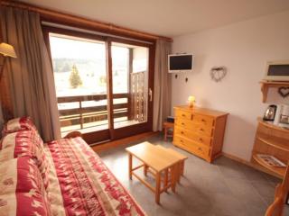 Les Saisies - Studio Cabine avec Garage pour 4-5 personnes, ensoleillé, vue sur pistes, non fumeur - FR-1-293-152 - Les Saisies - 3