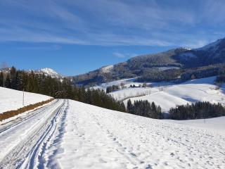 Biobauernhof Obereck - 7