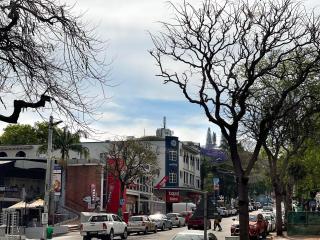 Glorystar 2Six2 Florida Road - 5