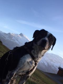 Hotel Engelberg "mein Trail Hotel" - 7