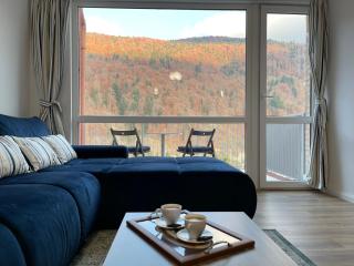 ViewApart Sinaia - 9