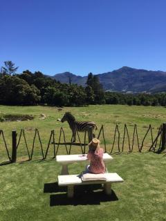 Franschhoek Country Cottages - Franschhoek - 9
