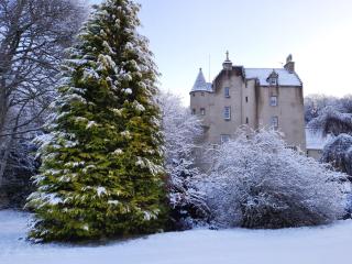 Lickleyhead Castle - Insch - 7