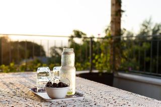 Beautiful Vacation Apartment for Families in the Golan - Ma'ale Gamla - 5